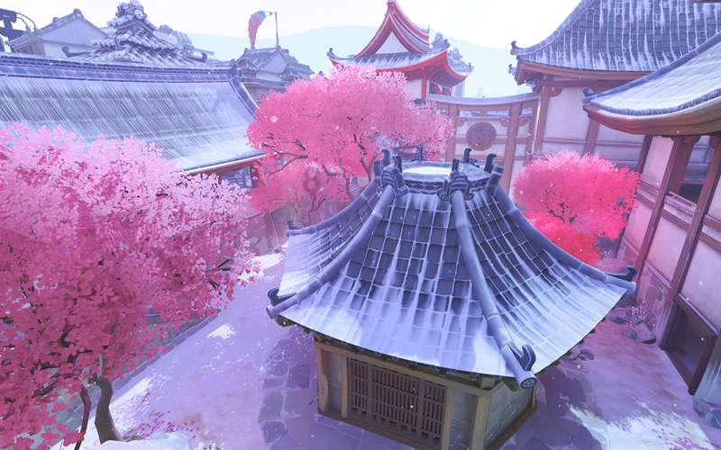 探索知识星球平台 | 加入马为什么站着睡觉?,共享智慧成长